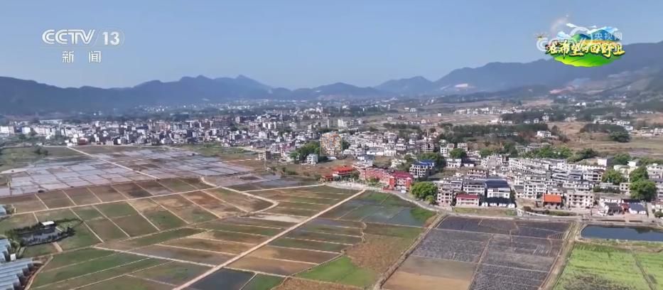 AI模型、“北斗”、物聯(lián)網(wǎng)……智慧農(nóng)業(yè)成為田間地頭新常態(tài)(圖13)